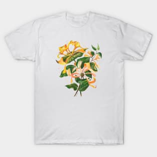 Honeysuckle Botanical Art Cut Out T-Shirt